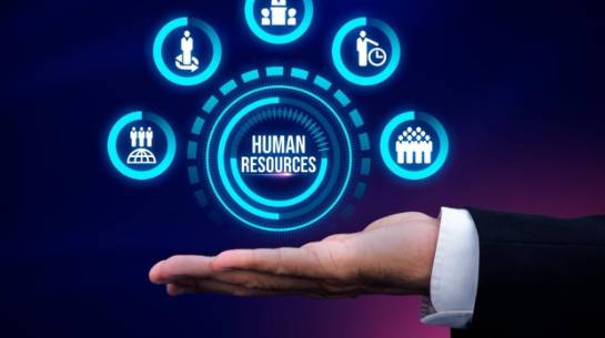 الإدارة والموارد البشرية: الجناح الداعم لنجاح التحولات الكبرى